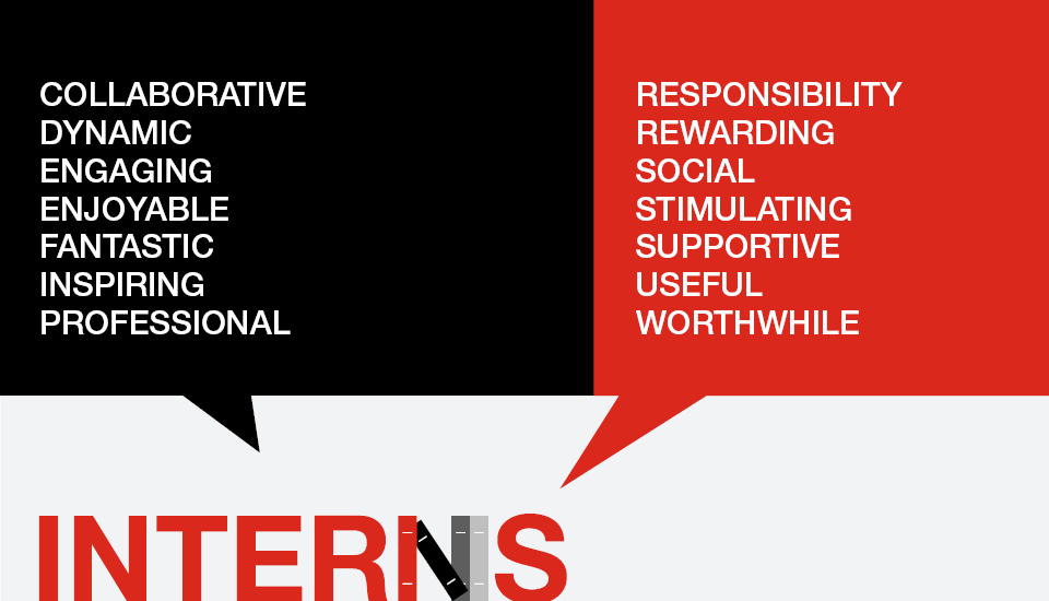 Interns 2019 - what they said about the programme