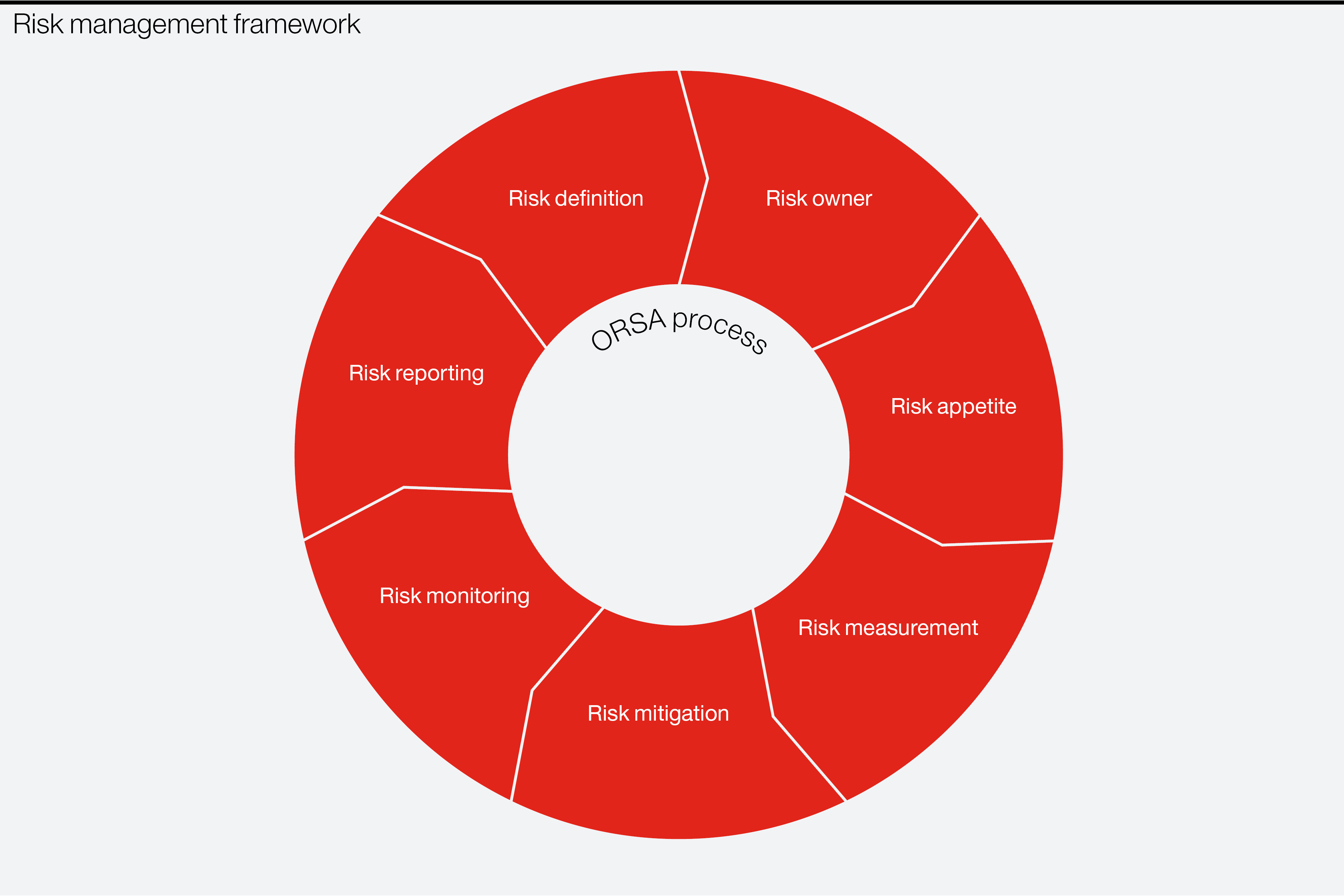 Risk governance