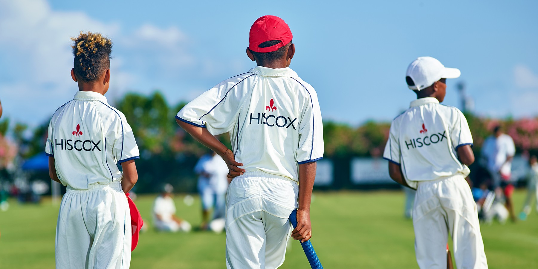 Bermuda cricket